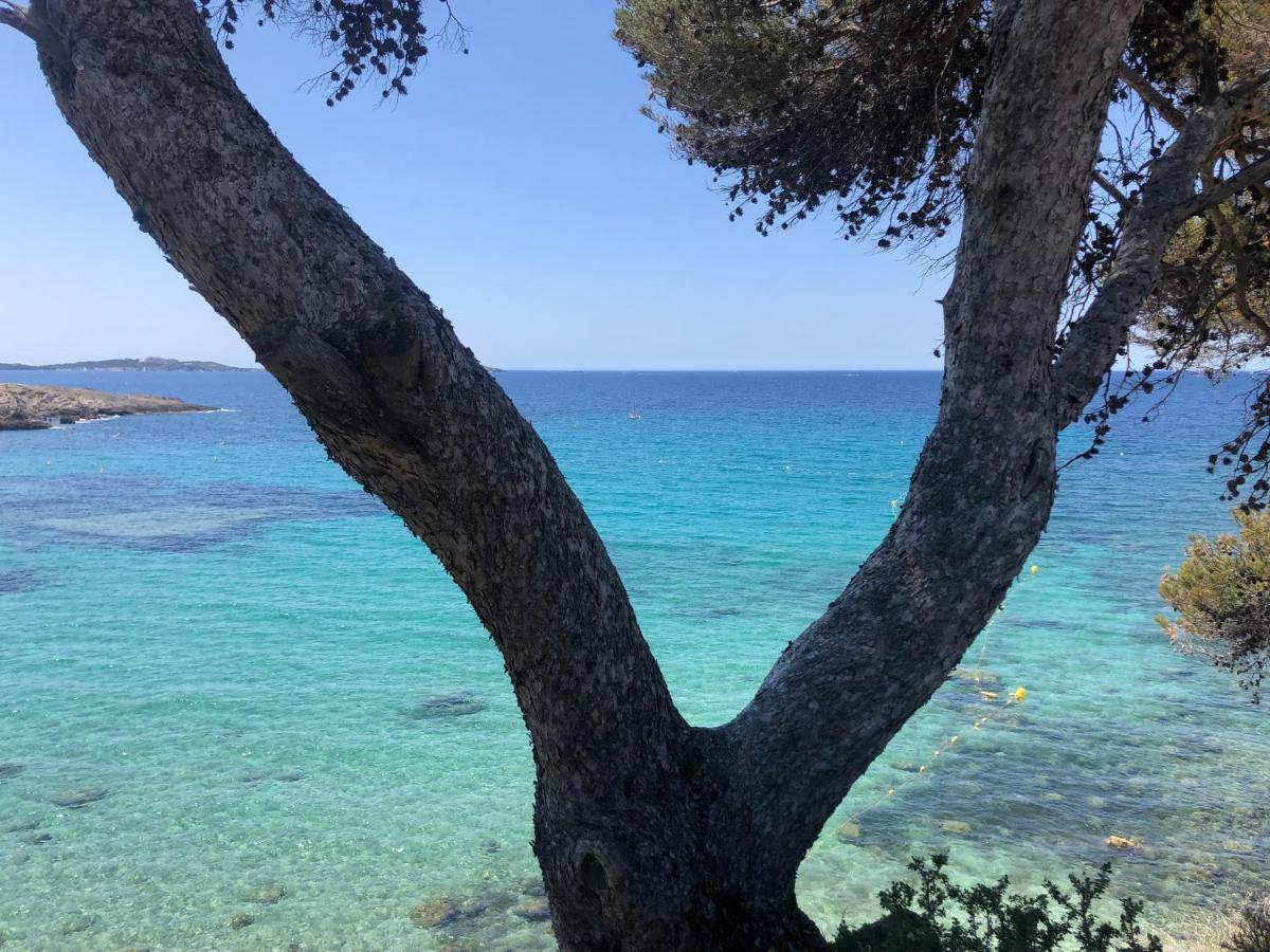 Apartamento Les Baux 1 Sanary-sur-Mer Exterior foto